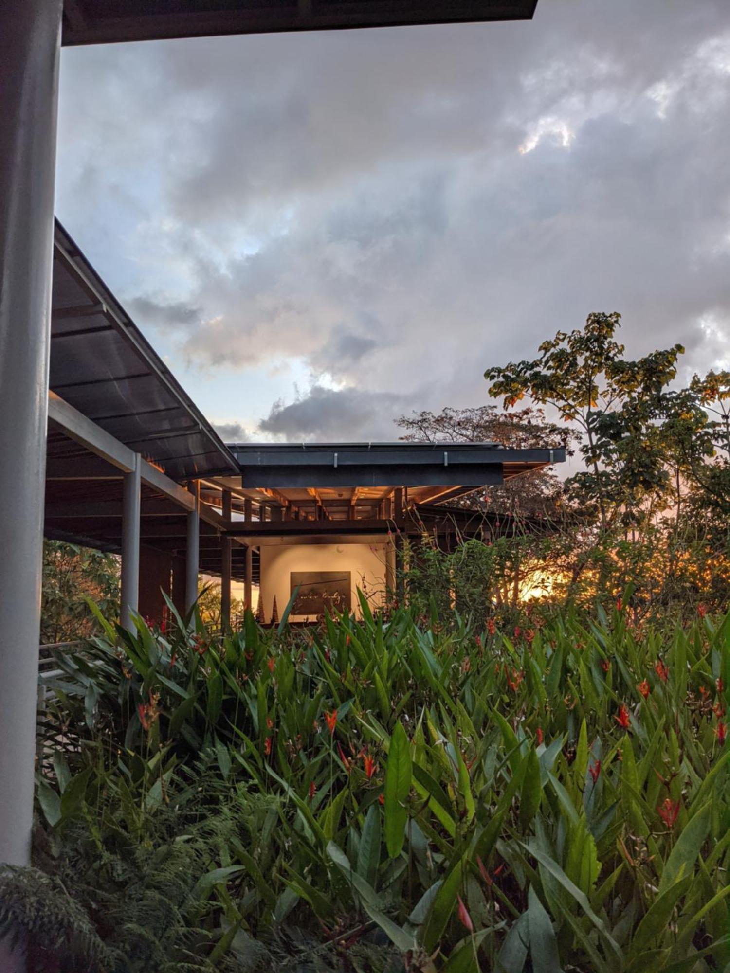 Cielo Lodge Golfito Bagian luar foto