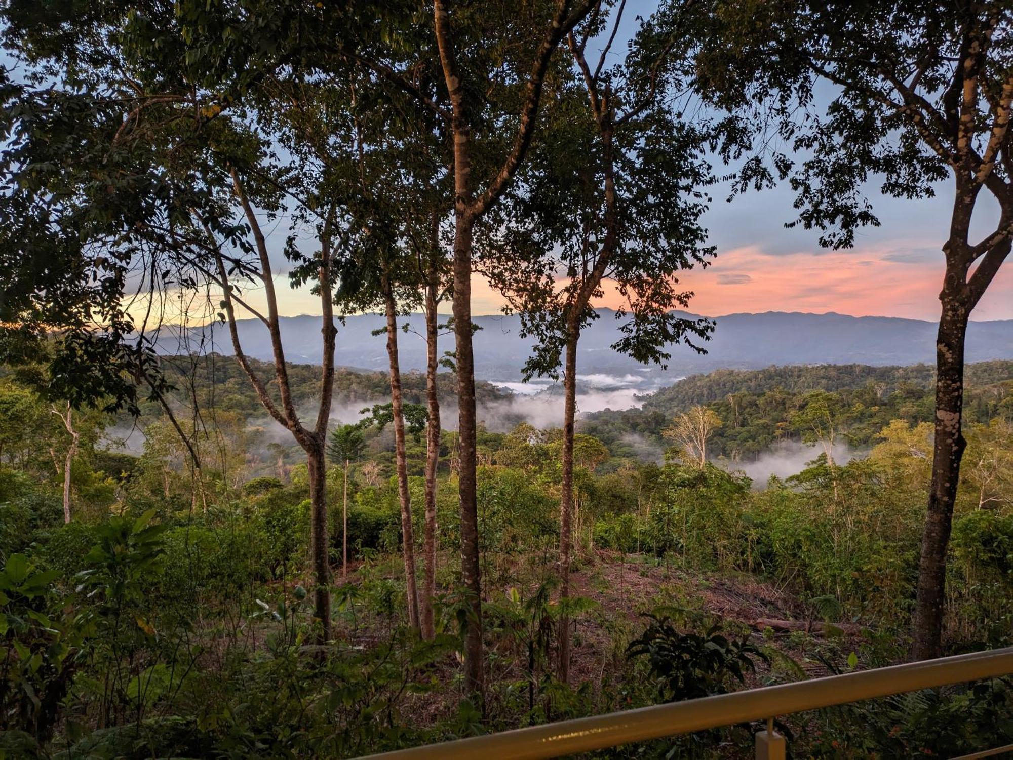 Cielo Lodge Golfito Bagian luar foto