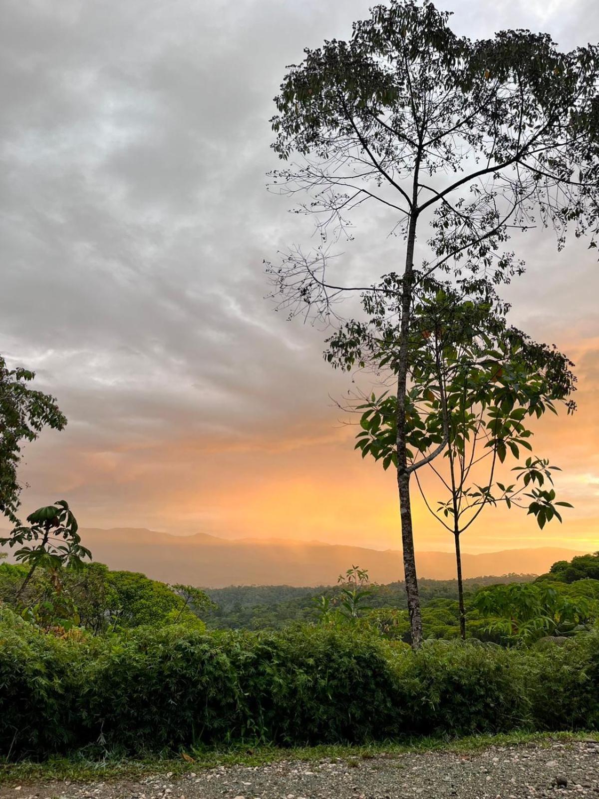 Cielo Lodge Golfito Bagian luar foto